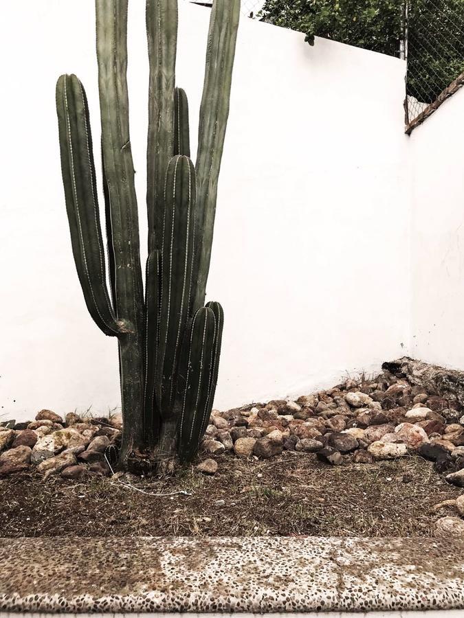 Willa Casa T Guanajuato Zewnętrze zdjęcie